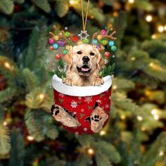 a golden retriever dog in a christmas stocking ornament hanging from a tree