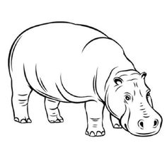 a hippopotamus standing in the grass with its head turned to the side