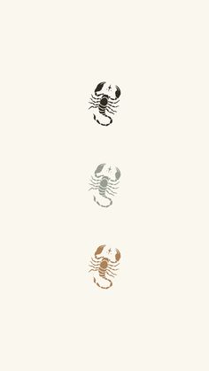 four different types of crabs on a white background