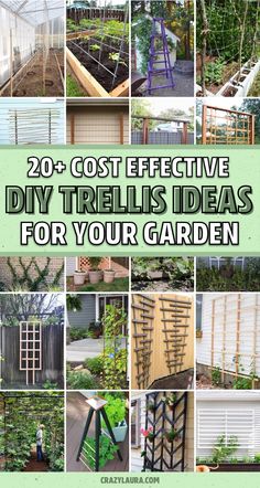 several different types of trelliss in the garden with text overlay that reads 20 cost effective diy trellis ideas for your garden