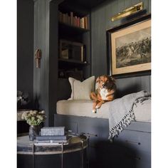 a dog sitting on top of a couch in a living room