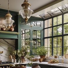 a kitchen filled with lots of potted plants