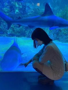 a woman kneeling down in front of an aquarium looking at a dolphin swimming through it