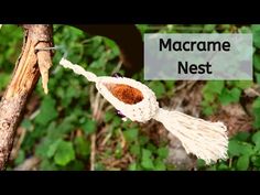 a close up of a plant with the words macrame nest on it