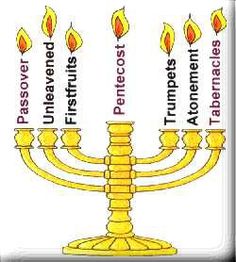 the menorah has seven candles and five different words