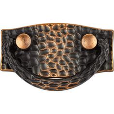 a black and gold belt with two brass buttons on the front, and an alligator skin pattern