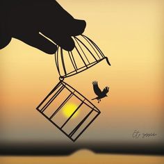 a hand holding a bird in a cage with the sun setting behind it and an orange sky