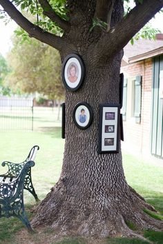 a tree with pictures on it next to a bench