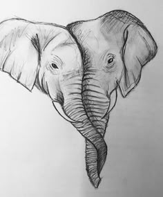 an elephant's head is shown in this drawing