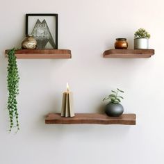 two wooden shelves with plants and vases on them