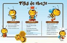 three bees with different stages of life in the same language, and one is wearing a crown