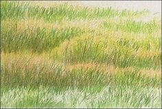 an image of grass and water in the foreground with light green, brown and yellow colors