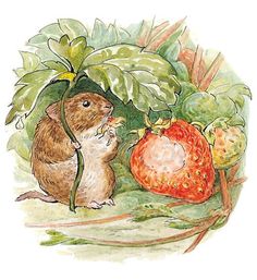 a drawing of a rodent eating strawberries on the ground next to a strawberry