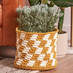 a crocheted basket with plants in it sitting on the floor next to a couch