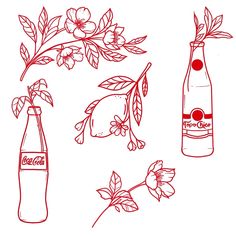 an image of bottles and flowers drawn in red ink