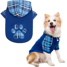 a small dog wearing a blue plaid shirt with paw prints on it's chest