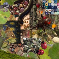 a collage of photos with bugs, leaves and buttons