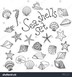 seashells set drawn in black and white with the words sea shells on it