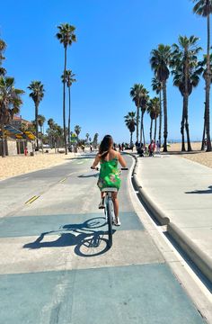 a woman riding a bike down the middle of a sidewalk next to palm tree lined beach