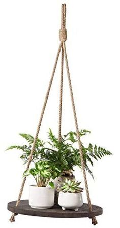 a potted plant is hanging from a rope with two white pots on the bottom