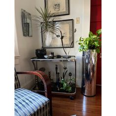 a living room filled with furniture and a potted plant on top of a table