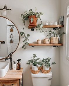 the bathroom is decorated in white and has plants on the shelves above the toilet bowl