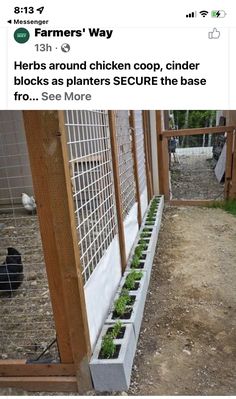 the planters are growing on the side of the fenced in area that is next to the building