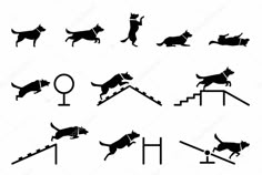 black silhouettes of dogs running down the stairs on white background stock photo and royalty