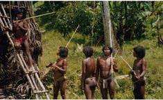 Sentinelese What You Need to Know About the World's Most Isolated Tribe - NSF News and Magazine