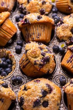 blueberry muffins with powdered sugar on top and fresh blueberries in the middle