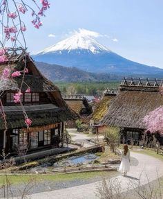 a woman is walking down a path in front of some houses with thatched roofs