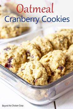 cranberry oatmeal cookies in a plastic container on a white table