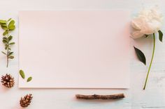 an empty card surrounded by flowers and leaves on a white background with space for text