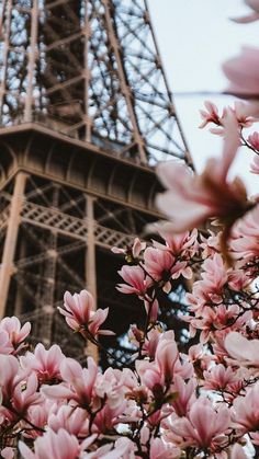 the eiffel tower is shown behind pink flowers