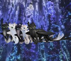 three black and white cats are flying in the sky with blue lights behind them on a string