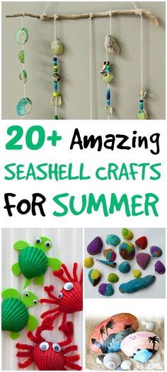 20 + amazing seashell crafts for summer