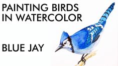 a blue jay sitting on top of a tree branch with the words painting birds in watercolor