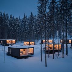 the cabins are lit up at night in the snow covered forest, surrounded by tall pine trees