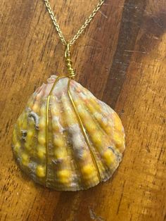 Very Rare Kauai Sunrise Shell  and Italian made 18k gold over 925 Sterling Silver Chain Necklace for Women, 1.2mm Chain Necklace Thin & Dainty & Sturdy Women's Chain Necklace    Natural beauty: The shell's colors and patterns represent the beauty and diversity of life in Hawaii, as well as the islands' natural beauty and unique heritage.    Currency: In ancient Hawaii, sunrise shells were used as a form of currency.    Aloha: The shells are a symbol of aloha and cultural importance. (M) Silver Chain Necklace For Women, Ancient Hawaii, Life In Hawaii, Sunrise Shell, Sterling Silver Chain Necklace, Shell Necklace, 925 Sterling Silver Chain, Shell Necklaces, Silver Chain Necklace