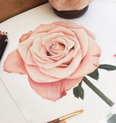 a drawing of a pink rose on paper next to some crayons and pencils