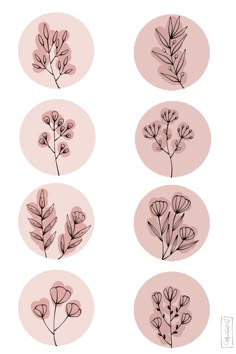 six different types of flowers on pink circles