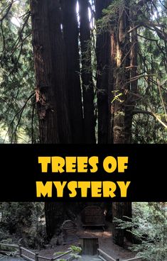 the trees of mystery are shown in this image with yellow text overlaying them