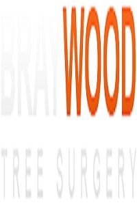 an orange and white logo with the words, braia wood tree surgery on it