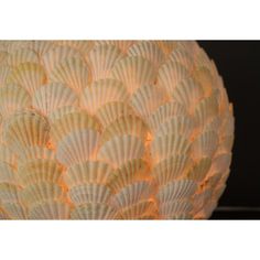 a close up of a light fixture with shells on it