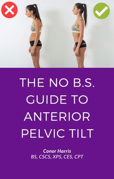 the no bss guide to an interior pelvic tilt by connor harris, b s c's x - press