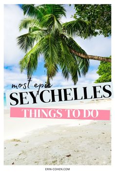 a palm tree on the beach with text overlay that reads most step by - step sychels things to do