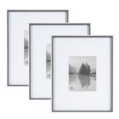 three framed pictures hanging on the wall next to each other with trees in the background