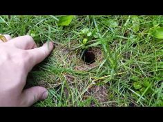 a person is holding their finger in the grass near a hole that has been dug into it