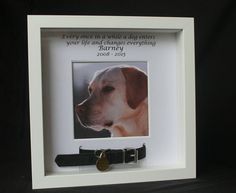 a white frame with a dog's photo in it and a black leather belt