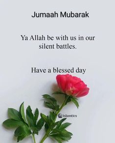 a red rose sitting on top of a white table next to a quote that reads, jumaah mubarak ya allah be with us in our silent battles have a blessing